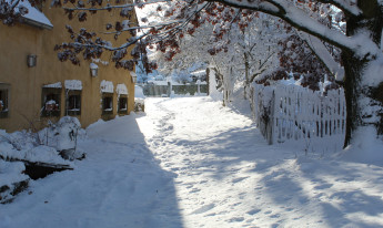 Markt in der Gartengalerie